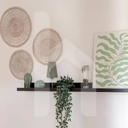 Homiday- Charm And Relax - Centro Storico Apartment Pisa